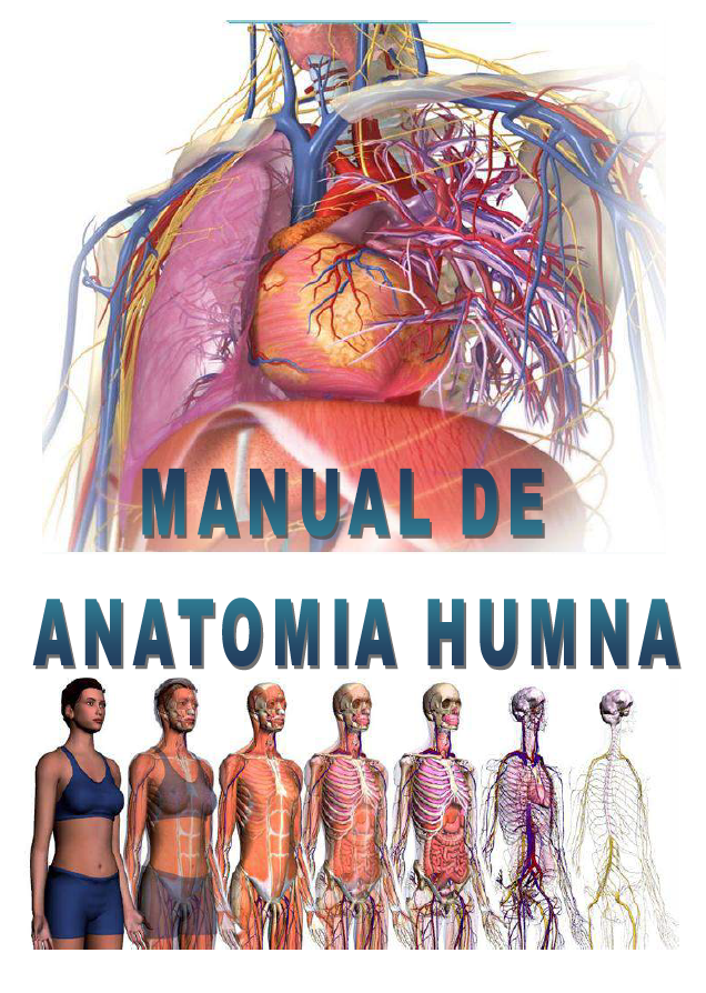 Portada de MANUAL DE ANATOMÍA HUMANA